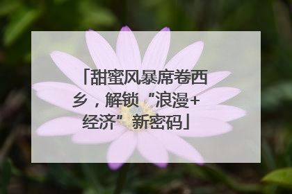 甜蜜风暴席卷西乡，解锁“浪漫+经济”新密码